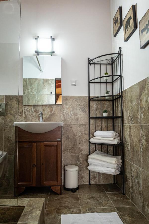 Villa Wild Petroşani エクステリア 写真