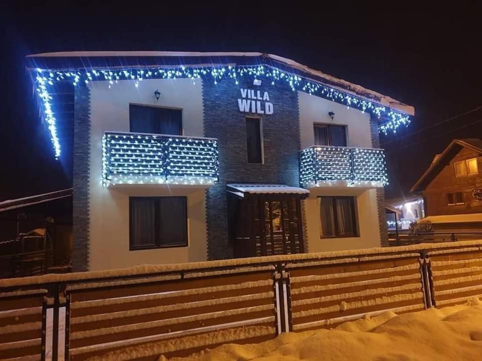 Villa Wild Petroşani エクステリア 写真